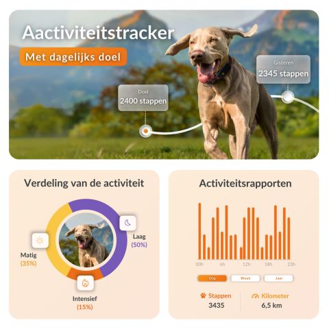 Weenect XT - Halsband met GPS tracker - Zwart