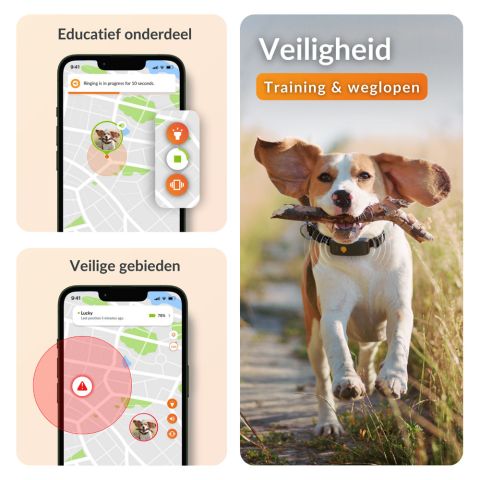 Weenect XT - Halsband met GPS tracker - Zwart