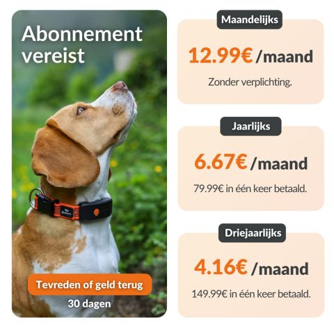 Weenect XT - Halsband met GPS tracker - Zwart