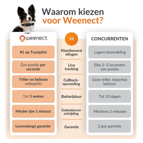 Weenect XT - Halsband met GPS tracker - Zwart