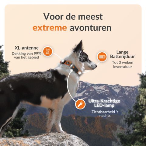 Weenect XT - Halsband met GPS tracker - Zwart