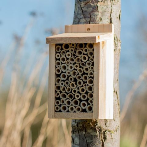CJ Wildlife Santiago - Insectenhotel - Naturel - 13x10x19 cm