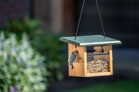 CJ Wildlife Eindhoven - Voederhuis - Blank/Groen - 20x28,5x16,5 cm