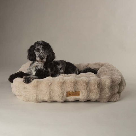 Scruffs Alpine - Hondenmand - Champagne
