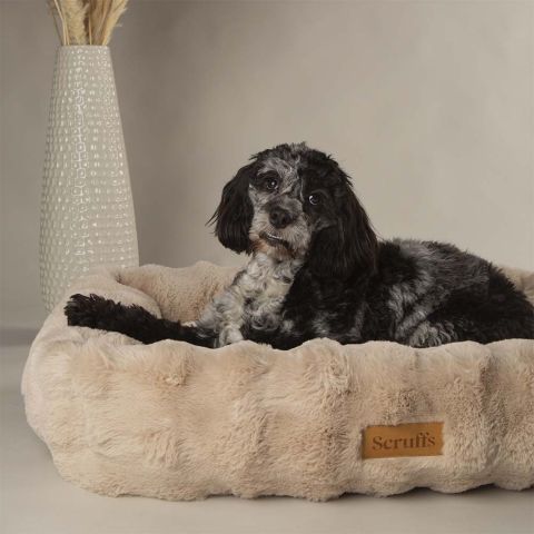Scruffs Alpine - Hondenmand - Champagne