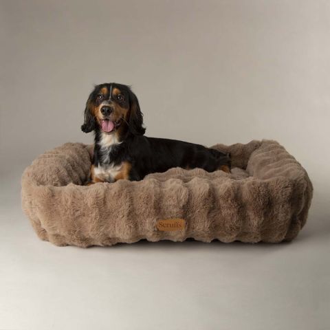 Scruffs Alpine - Hondenmand - Taupe