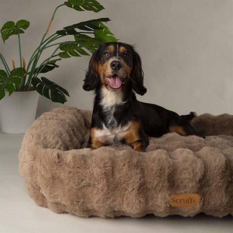Scruffs Alpine - Hondenmand - Taupe