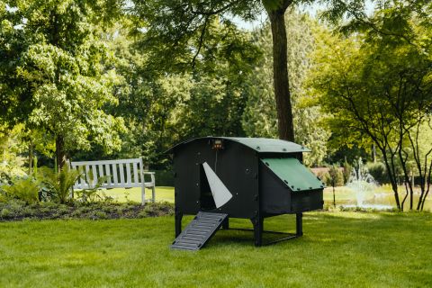 Nestera Lodge - Kippenhok - tot 8 kippen - Zwart/Groen - 136x139x100 cm - L