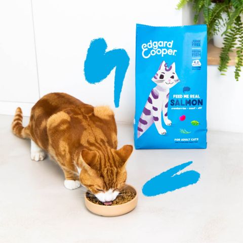 Edgard & Cooper Brokjes - Kattenvoer - Zalm - 325 gram
