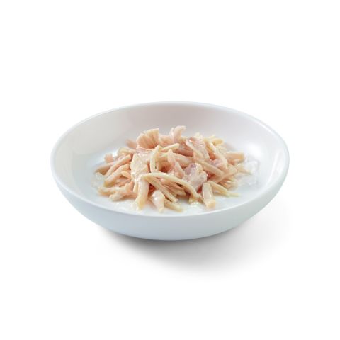 Schesir - Kattenvoer in Gelei - 85 gram