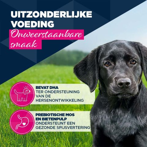 Eukanuba Puppy Paté  - Hondenvoer - Kalkoen - 400 gram