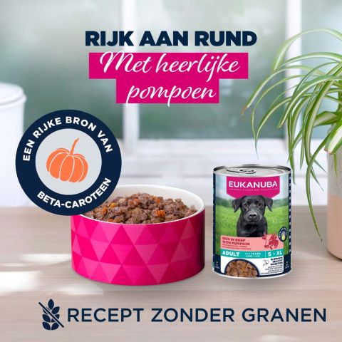 Eukanuba Adult Paté  - Hondenvoer - Rund - 400 gram