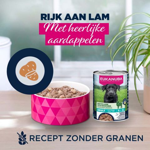Eukanuba Adult Paté  - Hondenvoer - Lam - 400 gram