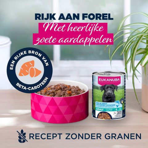 Eukanuba Adult Paté  - Hondenvoer - Forel - 400 gram