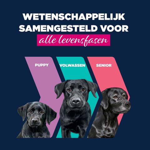 Eukanuba Adult Paté  - Hondenvoer - Forel - 400 gram