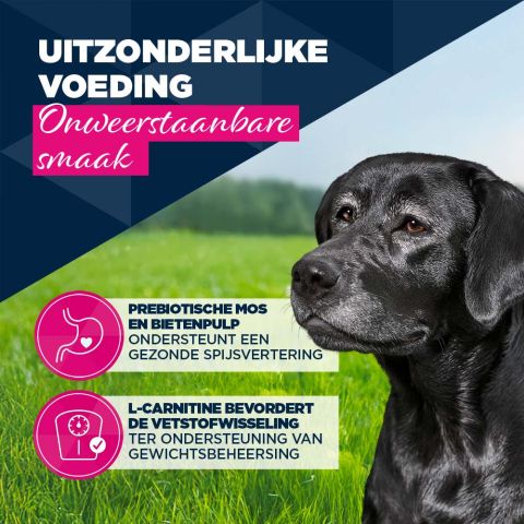 Eukanuba Senior Paté  - Hondenvoer - Lam - 400 gram