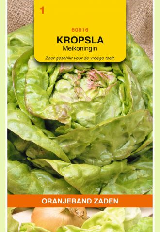 Oranjeband zaden Kropsla Meikoningin - Groentezaden - 3 gram