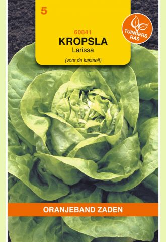Oranjeband zaden Kropsla Larissa - Groentezaden - 6 gram