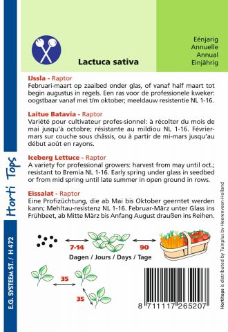 Hortitops Ijssla Lactuca sativa Raptor (vh Dublin) - Groentezaden - 0,6 gram