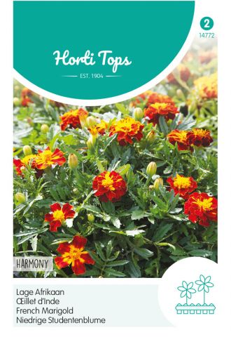 Hortitops Lage Afrikaan Harmony Boy - Bloemzaden - Afrikaan (Tagetes)