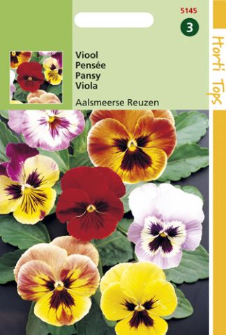 Hortitops Viool Aalsmeerse Reuzen - Bloemzaden - Viool