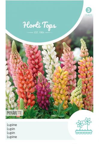 Hortitops Lupine Lage Minarette -Bloemzaden - Lupine