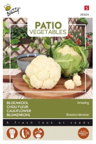 Buzzy Patio Veggies Bloemkool Amazing - Groentezaden - 20 