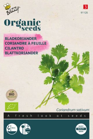 Buzzy Koriander Coriandrum sativum Koriander - Kruidenzaden - 3 gram