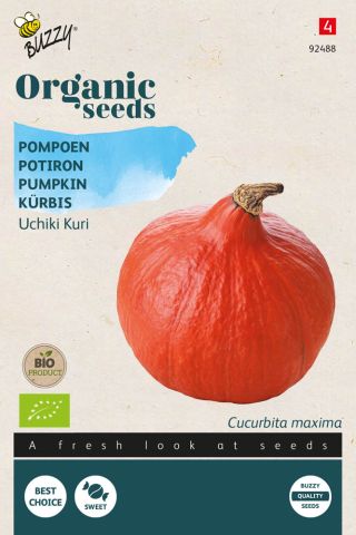 Buzzy Pompoen Cucurbita Uchiki Kuri - Kalebas/Pompoen - 1,75 gram