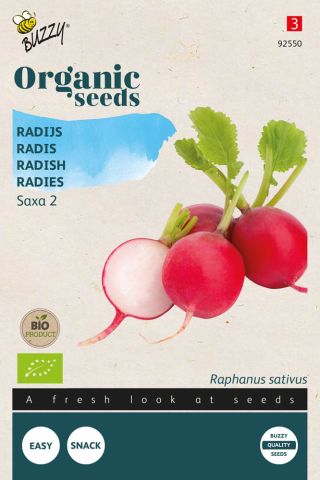 Buzzy Radijs Raphanus sativus Saxa 2 - Radijs - 2,5 gram