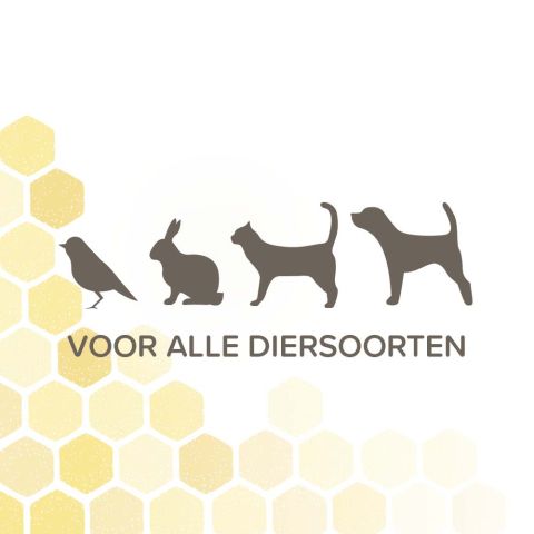 Beaphar Derma+ spray - Wondverzorging Hond - 75 ml