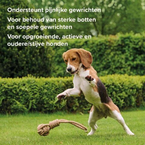 Beaphar Flexifit Chews - Gewrichten Hond - 175 gram