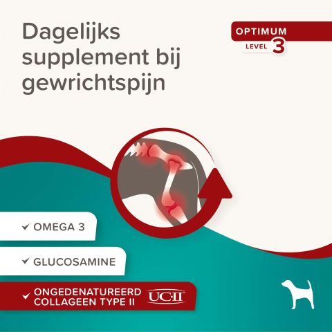 Beaphar Flexifit Chews - Gewrichten Hond - 175 gram