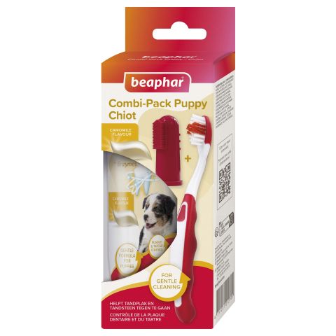 Beaphar - Tandenborstels en tandpasta - Hond - 3-delig combi-pack - Wit