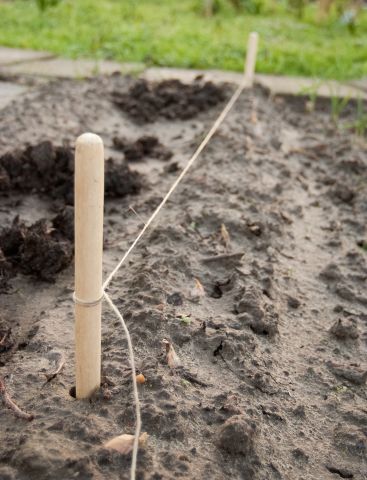 Nature Pootlijnset met Touw - Kweekbenodigdheden - 