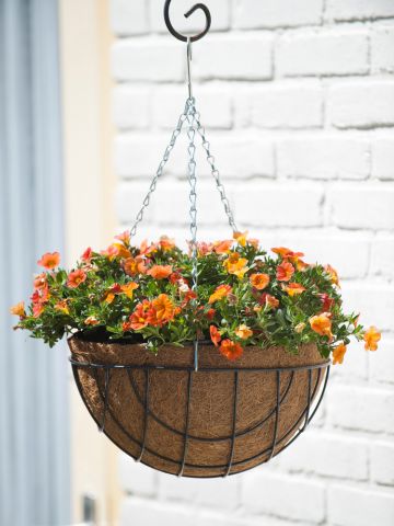 Nature - Hanging basket - Groen - 35 cm