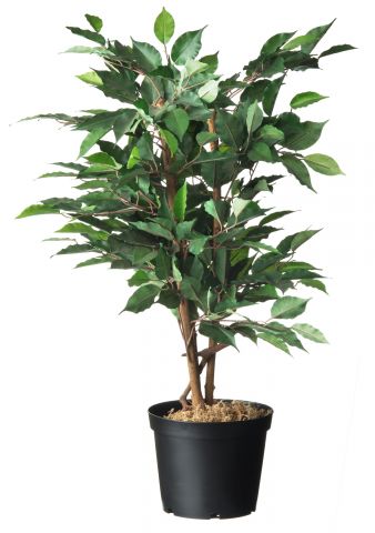 Nature Plantcontainer - Kweekbenodigdheden - 
