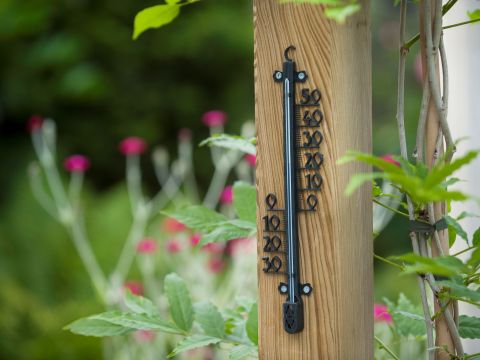Nature Profielthermometer - Regen- en Thermometers - 