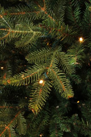 Black Box Trees Frasier - Kunstkerstboom - 230 cm