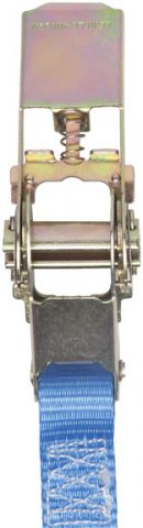Cover - Spanband met ratel en ogen 5m x 25mm - 