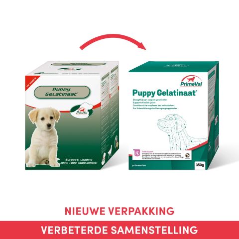 Primeval Gelatinaat Puppy - Voedingssupplement - 350 gram