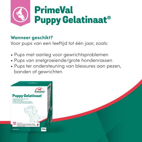 Primeval Gelatinaat Puppy - Voedingssupplement - 350 gram