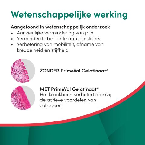 Primeval Gelatinaat Puppy - Voedingssupplement - 350 gram