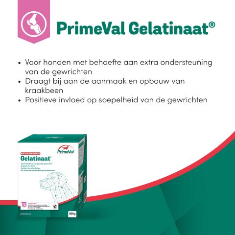 Primeval Gelatinaat - Soepele gewrichten Hond