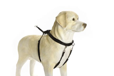 Beeztees Gentle Walker - Borsttuig Hond - Zwart