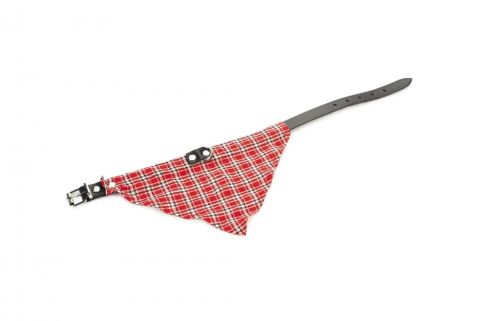 Beeztees - Halsband Hond - ROOD