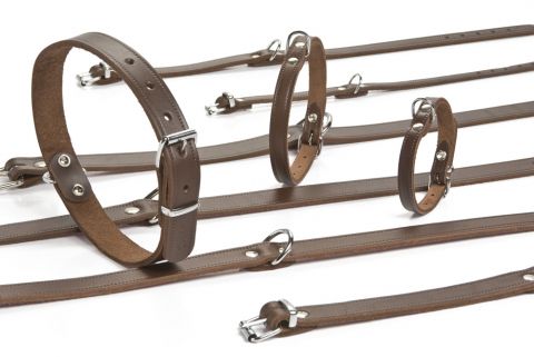 Beeztees - Halsband Hond - Bruin