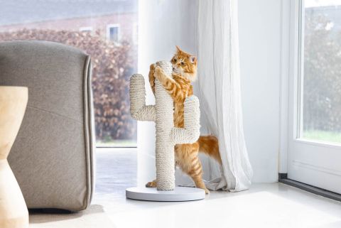 Designed by Lotte Cactus - Krabpaal - Dennenhout - Wit - 35x35x60 cm