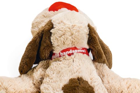 Beeztees Hond Joep - Knuffel - Hondenspeelgoed - Multi - 48x46x11 cm