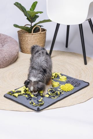 Beeztees Flora - Snuffelmat - Hondenspeelgoed - 70x45x7 cm